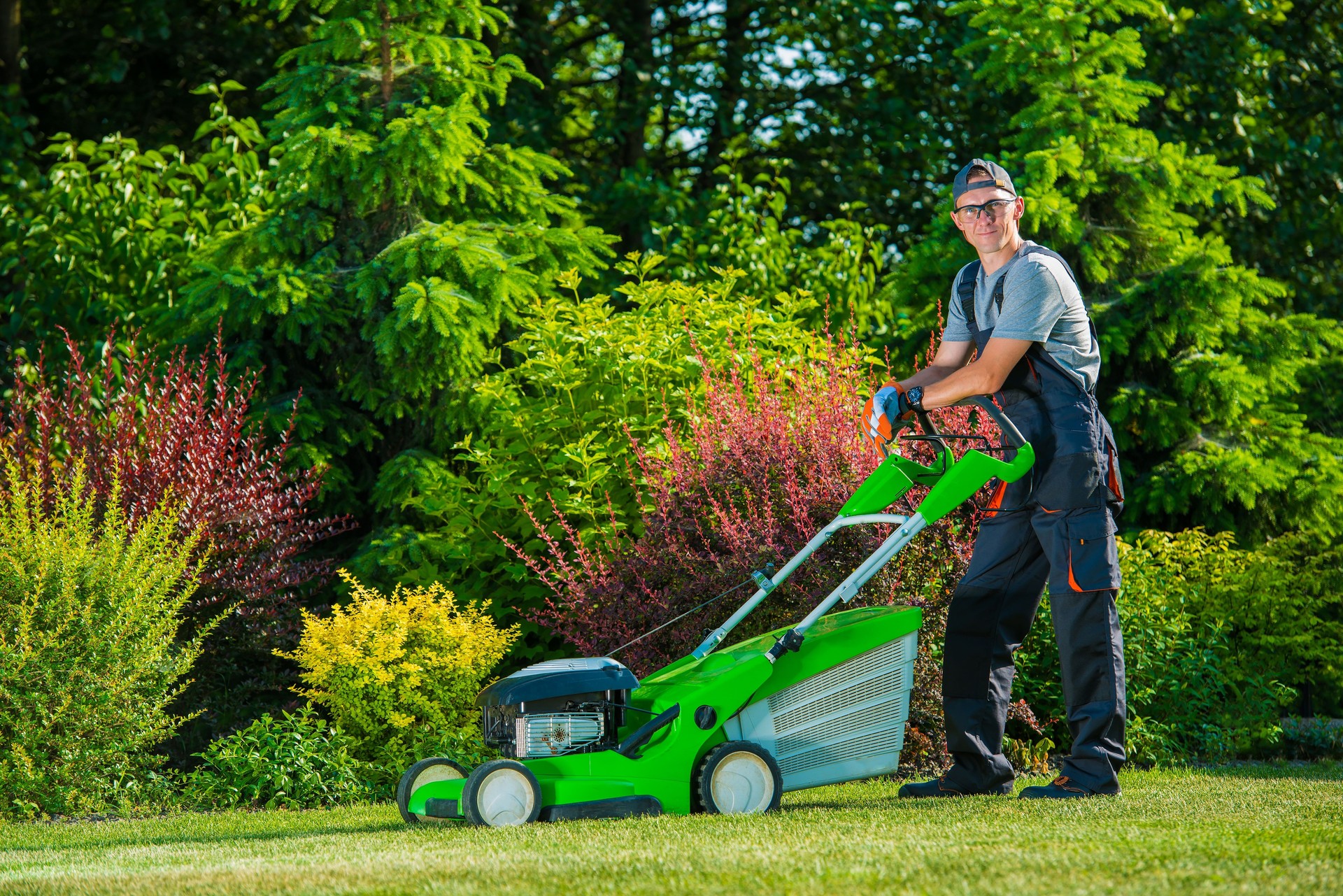 Professional Lawn Mowing